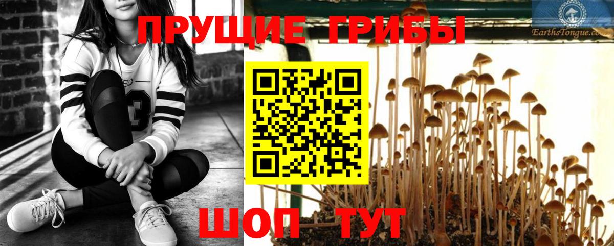 Галлюциногенные грибы GOLDEN TEACHER Южно-Сахалинск
